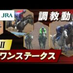 【調教動画】2023年 スワンステークス|JRA公式