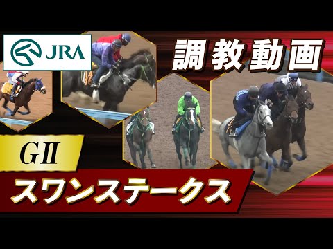 【調教動画】2023年 スワンステークス｜JRA公式