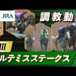 【調教動画】2023年 アルテミスステークス|JRA公式