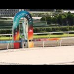 アタック!地方競馬|第239回|大井競馬場 本馬場 砂の入れ替え|NAR公式