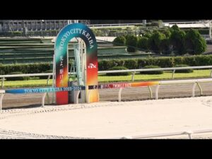 アタック！地方競馬｜第239回｜大井競馬場 本馬場 砂の入れ替え｜NAR公式