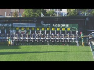 2023 TENNO SHO (Autumn) (G1) | JRA Official