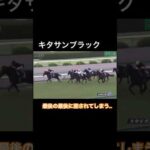 【宝塚記念】キタサンブラックが最後の最後に差されてしまう…