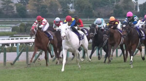 ソダシの配合相手を考えよう