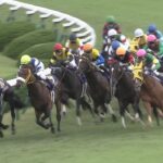 【競馬・毎日王冠】ソングラインとシュネルマイスター、3度目のハナ差