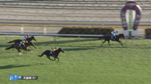 ダノンベルーガさん、今日も元気に掲示板確保