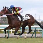 【ウマ娘】リアルスティール→ゲンジツスティールでワロタwww