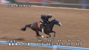 【サウジアラビアロイヤルカップ2023】追い切り/動きからレースを紐解く