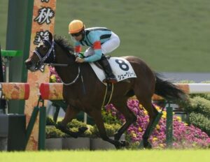 【2歳新馬】7馬身圧勝！シュークリーム強すぎワロタwww