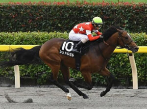 レッドルゼル、川田不在のため横山典との新コンビでJBCスプリントへ