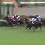 【競馬】京都大賞典は池添騎乗のプラダリアがV