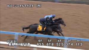 【毎日王冠2023】追い切り/動きを見極め勝利に近づけ