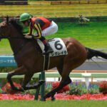 ダノンエアズロックとレガレイラ アイビーSで激突
