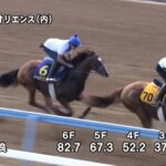 【菊花賞2023】追い切り/調教を見てわかる事