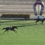 【競馬】天皇賞・秋はルメール騎乗のイクイノックスが1.55.2の衝撃のレコードで圧勝