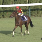ジョッキーカメラ川田騎手、喋りまくる「ありがとう、お嬢さん」「最高の景色だな、美しいね」