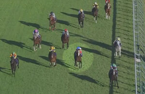 ダノンベルーガさん、安定の4着 掲示板しっかり確保