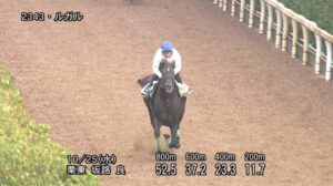 【スワンステークス2023】追い切り/抜群の動きを見せたのは