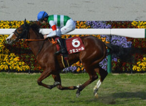 タスティエーラに続きナミュールもモレイラに乗り替わりで富士Sへ