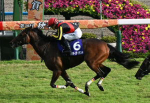 【秋華賞】リバティアイランド圧勝！史上7頭目の牝馬3冠達成！