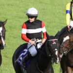 【秋華賞】3着ハーパー、ルメール「スゴくいい競馬だった」