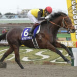 【競馬予想】[1]第36回マイルチャンピオンシップ南部杯(JpnI)/ 2023/10/9(祝・月)