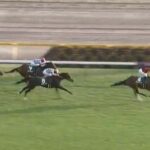 【競馬】アルテミスSはルメール騎乗のチェルヴィニアがV