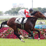 【アイビーS】夢の4億対決!ダノンエアズロックvsホウオウプロサンゲ激突