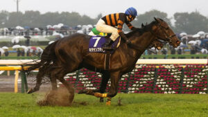 土砂降りの不良馬場のレースが好きなんやがオススメある？