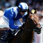 キングジョージ覇者フクムが日本で種牡馬に 英仏G1・6連勝バーイードの全兄