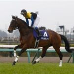 マカヒキ、初年度の種付けは104頭 G1馬アパパネにも種付け