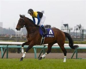 マカヒキ、初年度の種付けは104頭 G1馬アパパネにも種付け