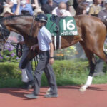 【競馬予想】第71回府中牝馬ステークス(GⅡ) /2023