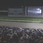 【マイルCS南部杯2023】結果・動画/レモンポップが突き抜け独走