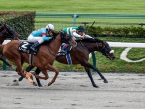 【キズナ最高傑作】パラレルヴィジョンが初ダートで3勝クラス突破 オープンへ