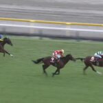 【富士ステークス2023】結果・動画/ナミュールが力強く差し切る
