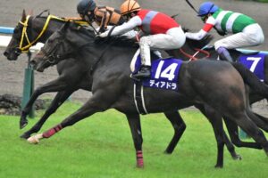 【競馬】無敗で牝馬三冠制したデアリングタクト(牝6)が引退