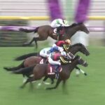【競馬】毎日王冠は西村淳騎乗のエルトンバローズがV