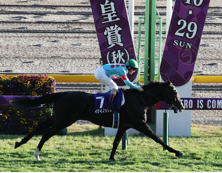 【天皇賞･秋】イクイノックスが驚異のレコード１分55秒２圧勝！G1･5連勝で連覇達成