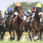【競馬/東スポ杯2歳S】古川助手「トレセンに入って20年以上になるけどムーヴザワールドほど跳びが大きい馬はいなかった」