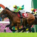 【競馬予想】[1]第84回菊花賞(GⅠ) /2023
