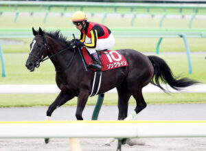 【毎日王冠】2着ソングライン戸崎「今までと違う形でも競馬ができたのは良かった」