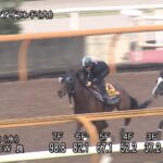 【秋華賞2023】追い切り/動きを見極め勝利に近づけ