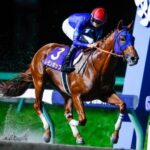 【マイルCS南部杯】逃走レモンポップが大差圧勝!G1・2勝目