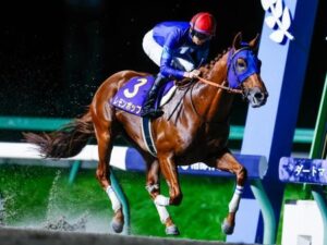【マイルCS南部杯】逃走レモンポップが大差圧勝！G1･2勝目
