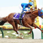 【競馬予想】[2]第36回マイルチャンピオンシップ南部杯(JpnI)/ 2023/10/9(祝・月)