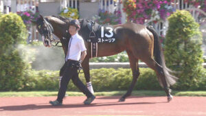 ストーリア4角競走中止、予後不良