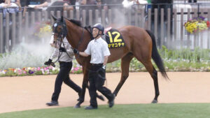 ママコチャ池江調教師、不可解なハンデに激怒 「重賞の権威が落ちてしまいますよ」