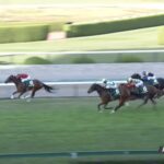 【ファンタジーステークス2023】出走予定馬・騎手/天姿国色