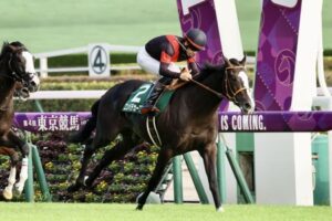 【サウジアラビアRC】ゴンバデカーブース強すぎワロタwww